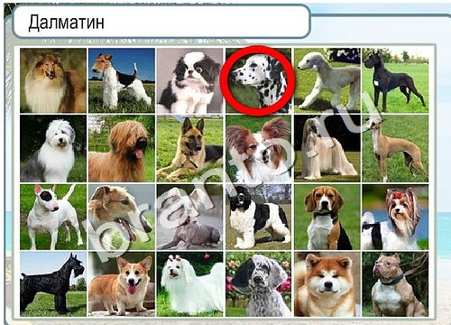 Горячо-Холодно ответы в картинках Уровень 3346 Черногория