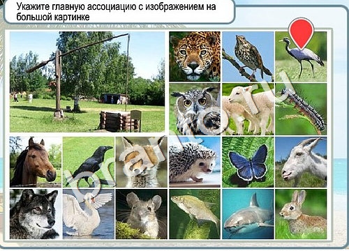 игра Горячо-Холодно помощь Уровень 3349