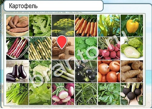 Горячо-Холодно решения Уровень 3352 Урал-4320-0111-41