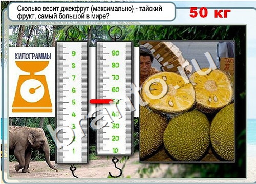 Горячо-Холодно игра ответы Уровень 3353 гладить при 150
