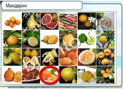 Горячо-Холодно игра помощь Уровень 3355 укажите марку авто