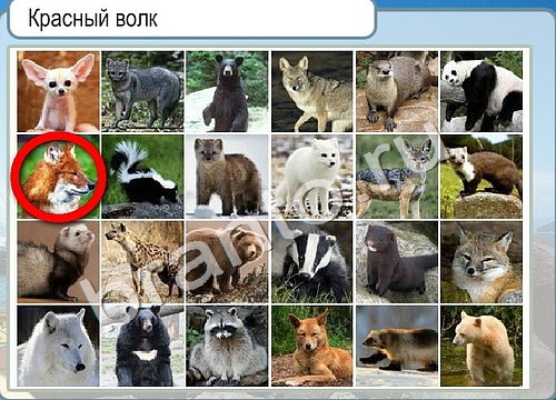 Подсказки Горячо-Холодно Уровень 3362