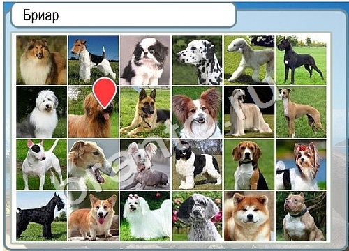 Горячо-Холодно ответы в картинках Уровень 3376 Черногория