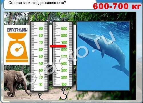 Горячо-Холодно решения Уровень 3382 Урал-4320-0111-41