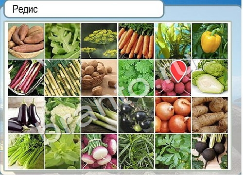 Горячо-Холодно игра ответы Уровень 3383 гладить при 150