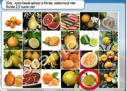 Горячо-Холодно ответы в картинках Уровень 3386 Александр Демьяненко