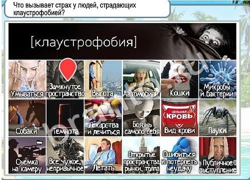 ответы на игру Горячо-Холодно Уровень 3391 печень