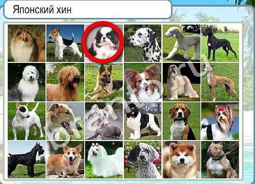 Горячо-Холодно игра ответы Уровень 3403