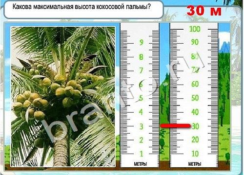 Игра Горячо-Холодно подсказки Уровень 3418 Рубеллит