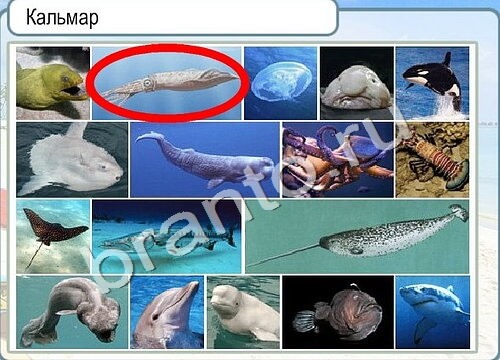 Помощь на игру Горячо-Холодно Уровень 3424 Кузя