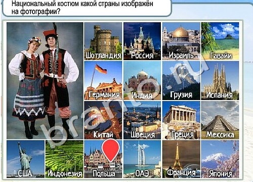 Горячо-Холодно игра ответы в одноклассниках Уровень 3427 Многоцветный лорикет