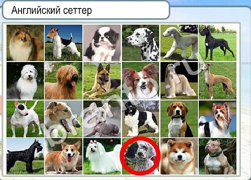 Горячо-Холодно игра подсказки Уровень 3434