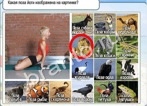 Горячо-Холодно ответы в картинках Уровень 3436 Черногория