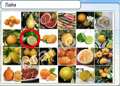 Горячо-Холодно игра ответы Уровень 3443 гладить при 150