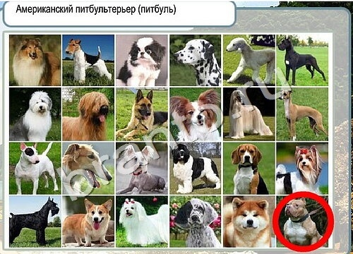 Горячо-Холодно решения Уровень 3462 Пищевод