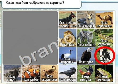 Горячо-Холодно ответы в картинках Уровень 3466 Черногория