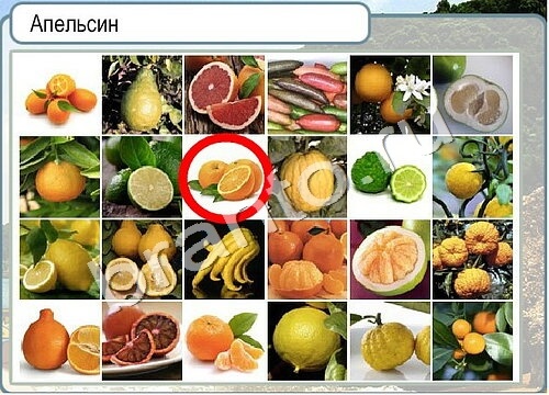 Горячо-Холодно игра ответы Уровень 3473 гладить при 150