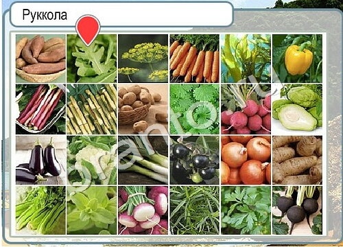 Горячо-Холодно ответы в картинках Уровень 3476 Александр Демьяненко