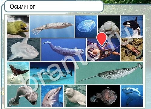 Подсказки Горячо-Холодно Уровень 3482