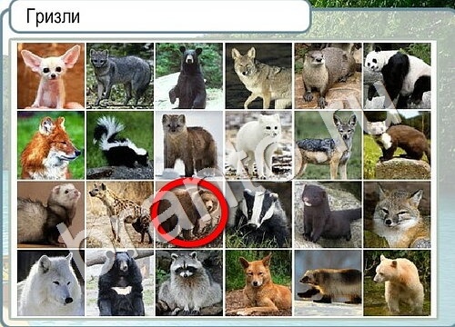 Помощь на игру Горячо-Холодно Уровень 3484 Кузя