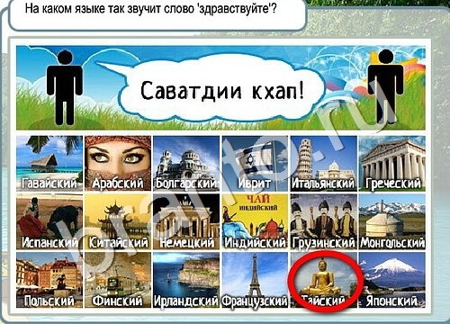 Горячо-Холодно игра ответы в одноклассниках Уровень 3487 Многоцветный лорикет