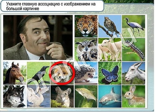 Горячо-Холодно ответы Уровень 3488 шляпа Клош