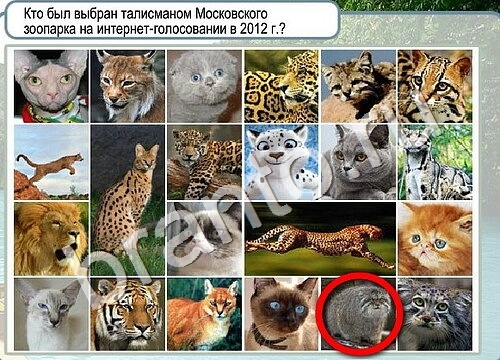 Горячо-Холодно решения Уровень 3492 Пищевод