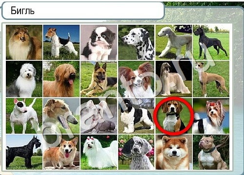 Горячо-Холодно игра подсказки Уровень 3494