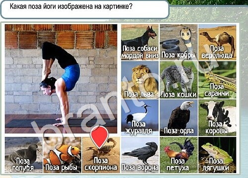 Горячо-Холодно ответы в картинках Уровень 3496 Черногория