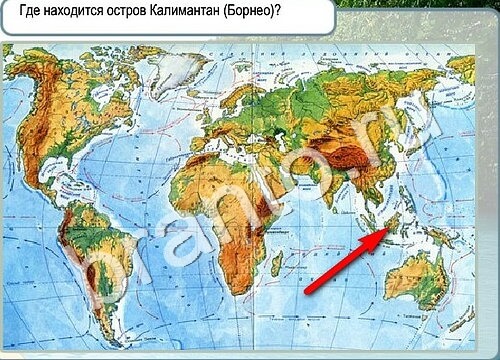 Игра Горячо-Холодно ответы Уровень 3497 бабочка Адмирал