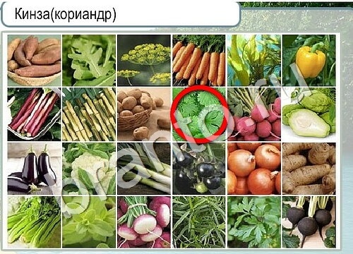 Горячо-Холодно игра подсказки Уровень 3504 знак родившегося 8 марта