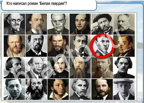 Горячо-Холодно игра ответы в одноклассниках Уровень 3517 Многоцветный лорикет