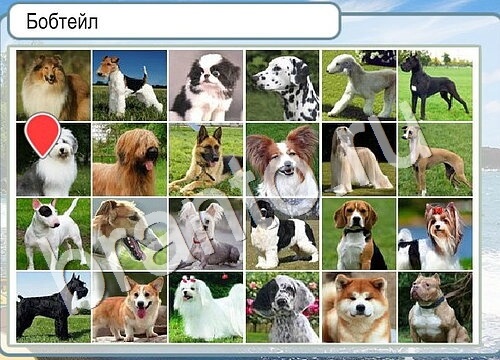 Горячо-Холодно ответы в картинках Уровень 3526 Черногория