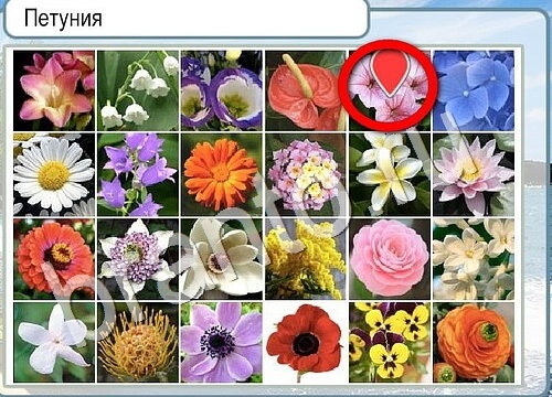 Горячо-Холодно игра подсказки Уровень 3534 знак родившегося 8 марта