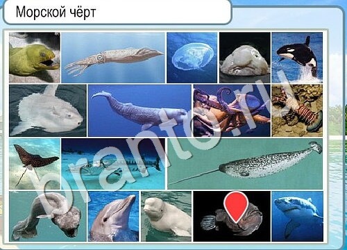 Горячо-Холодно ответы Уровень 3548 шляпа Клош