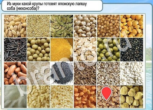 Горячо-Холодно игра помощь Уровень 3555 Наташа Королёва