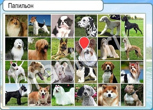 Горячо-Холодно ответы в картинках Уровень 3556 Черногория