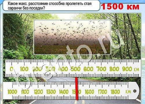 Игра Горячо-Холодно ответы Уровень 3557 бабочка Адмирал