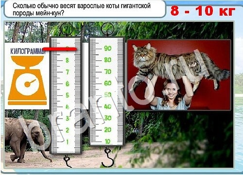 Горячо-Холодно решения Уровень 3562 Урал-4320-0111-41