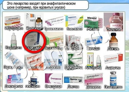 Горячо-Холодно игра помощь Уровень 3565 укажите марку авто