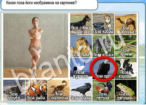 игра Горячо-Холодно помощь Уровень 3569 высота Олимпа