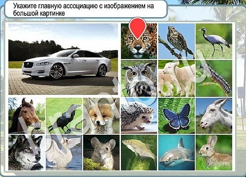 Горячо-Холодно игра ответы в одноклассниках Уровень 3577 Многоцветный лорикет