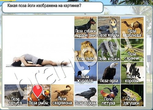 Горячо-Холодно решения Уровень 3582 Пищевод