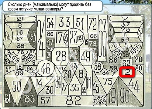 Горячо-Холодно игра помощь Уровень 3585 Наташа Королёва