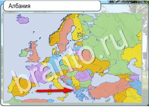 Игра Горячо-Холодно ответы Уровень 3587 бабочка Адмирал