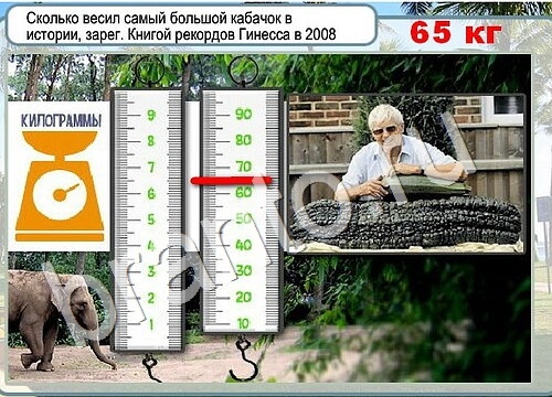 Горячо-Холодно решения Уровень 3592 Урал-4320-0111-41