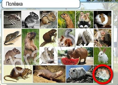 Горячо-Холодно ответы в картинках Уровень 3596 Александр Демьяненко