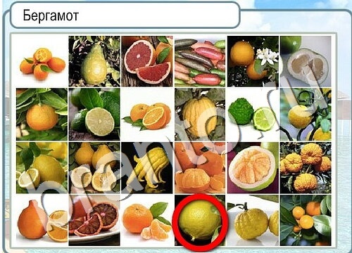 Горячо-Холодно игра ответы Уровень 3623 гладить при 150