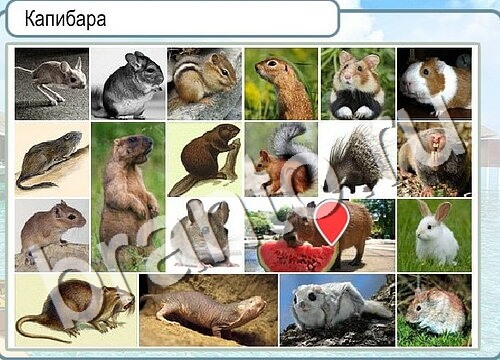 Горячо-Холодно игра помощь Уровень 3625 укажите марку авто