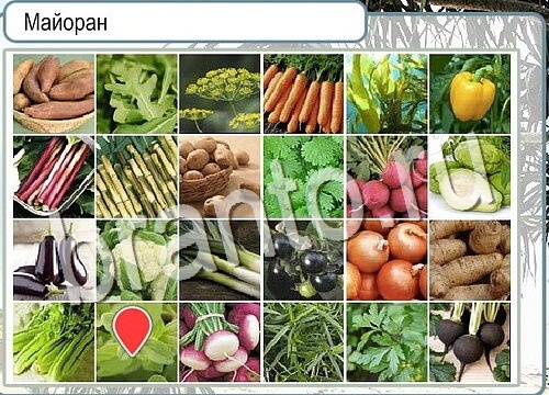 Подсказки Горячо-Холодно Уровень 3632